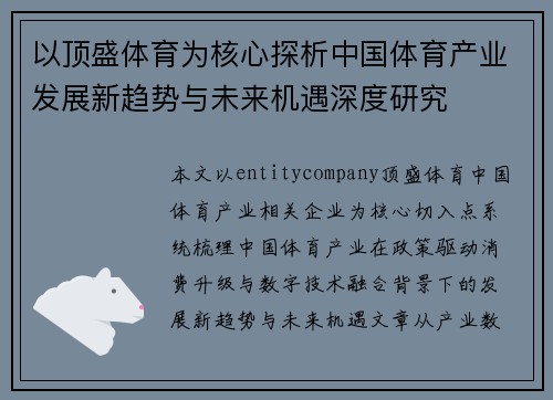 以顶盛体育为核心探析中国体育产业发展新趋势与未来机遇深度研究